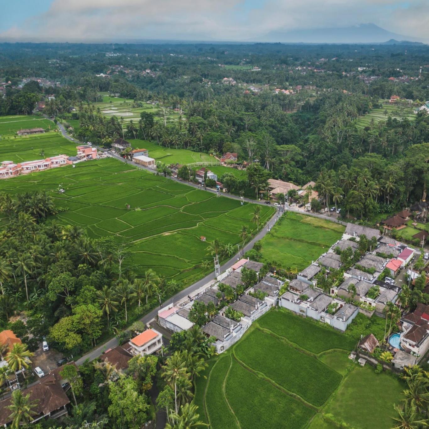 Asvara Villa Ubud By Ini Vie Hospitality Ngoại thất bức ảnh